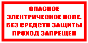 S13 опасное электрическое поле. без средств защиты проход запрещен (пленка, 200х100 мм) - Знаки безопасности - Знаки по электробезопасности - Магазин охраны труда Протекторшоп